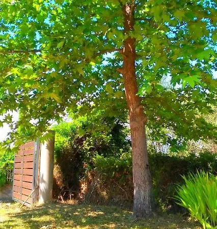 Kır Evi Artemis *